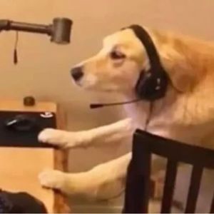 Meet your Posher, Jaciel